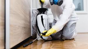 Emergency Pest Control in Mount Carroll, IL